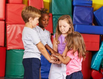 Notice of Support Availability